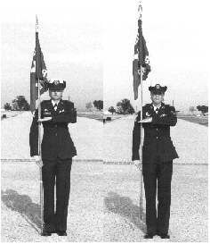 Salute at Order/Salute at Carry