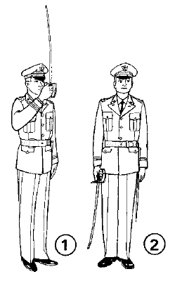 Figure - 5, Present saber (sword)