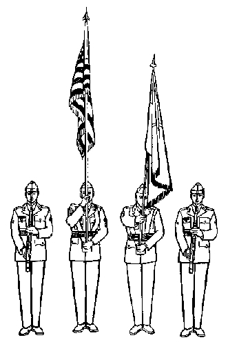 Position of the Organizational Color at Color Salute